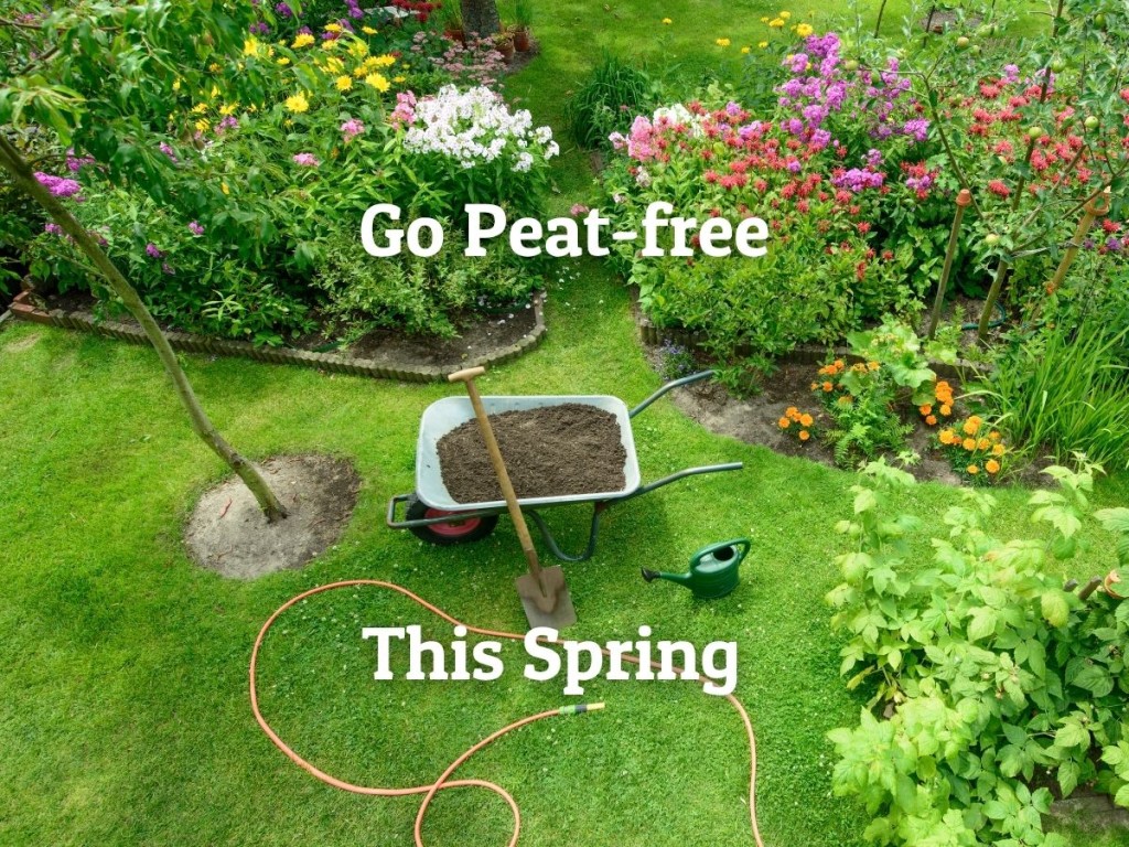 Photo shows a beautiful garden with flower beds and shrubs - there's a lawn in the middle with a wheelbarrow filled with compost in the middle. There is text on the image which reads, Go Peat-free This Spring