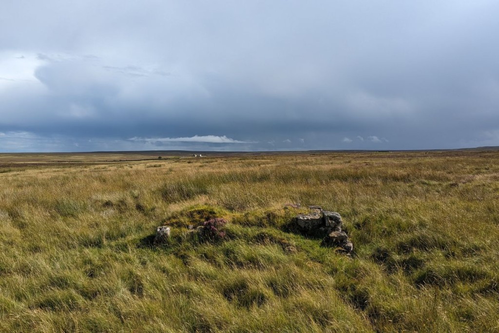 Photograph shows a view across Munsary peatland. The blanket bog is covered in green mosses and plants and the sky is dark with storm clouds. The scene is dramatic and beautiful.