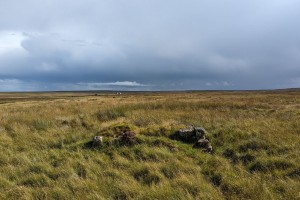 Photograph shows a view across Munsary peatland. The blanket bog is covered in green mosses and plants and the sky is dark with storm clouds. The scene is dramatic and beautiful.